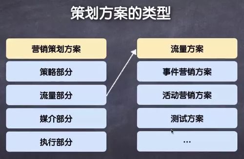 营销策划方案的目的和类型